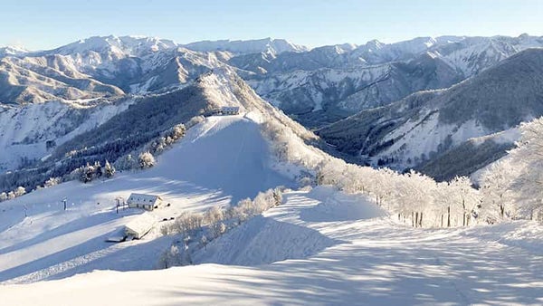 【新宿朝発】ぶっとび!日帰りスキー&スノボ|神立スノーリゾート(リフト券付)2